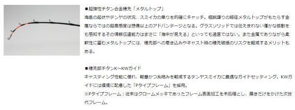 特価　ダイワ　メタリアスミイカ　H-240
