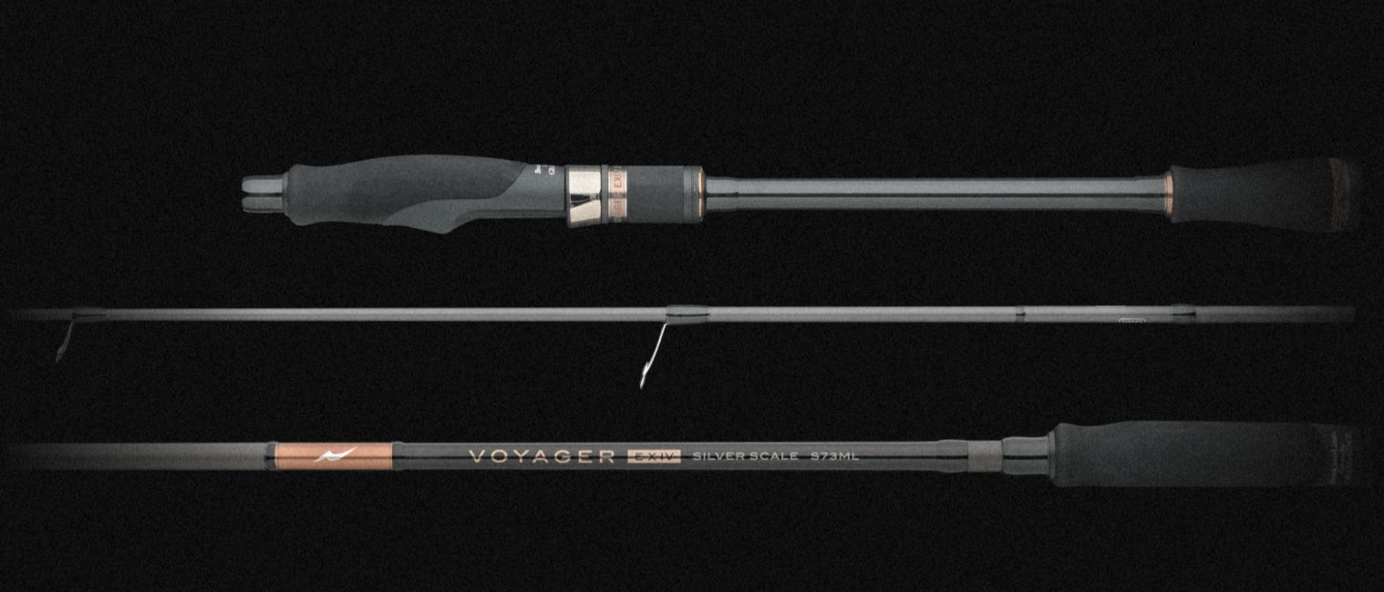 アピア ボイジャーEXⅣ シルバースケール S73ML