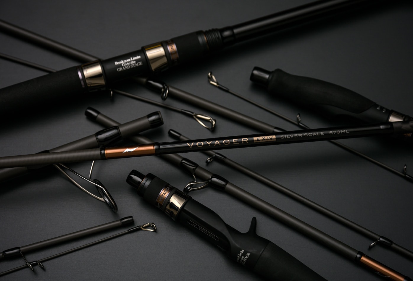 アピア ボイジャーEXⅣ リアルディール C63ML